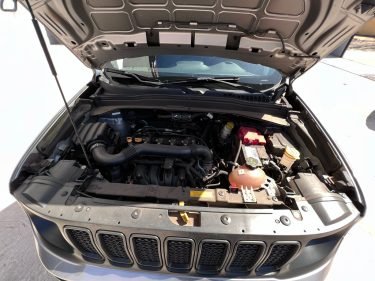 Jeep renegade 2019-20