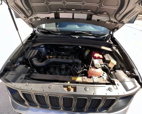 Jeep renegade 2019-20