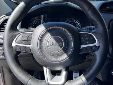 Jeep renegade 201920 (9)
