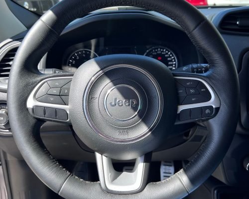 Jeep renegade 201920 (9)